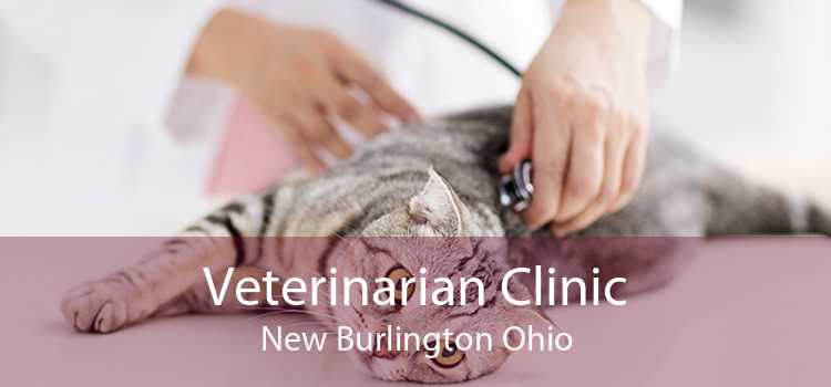 Veterinarian Clinic New Burlington Ohio