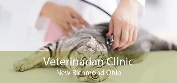 Veterinarian Clinic New Richmond Ohio