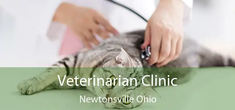 Veterinarian Clinic Newtonsville Ohio