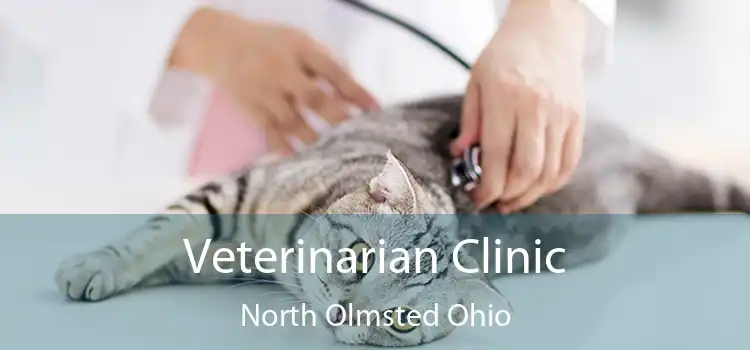 Veterinarian Clinic North Olmsted Ohio