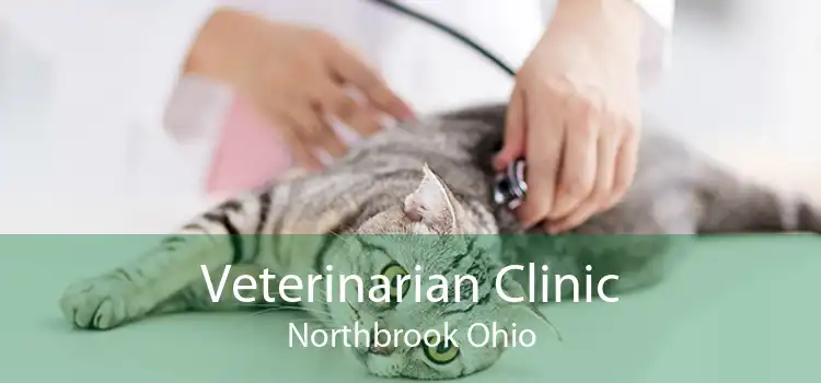 Veterinarian Clinic Northbrook Ohio