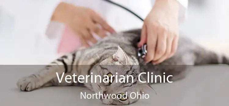 Veterinarian Clinic Northwood Ohio