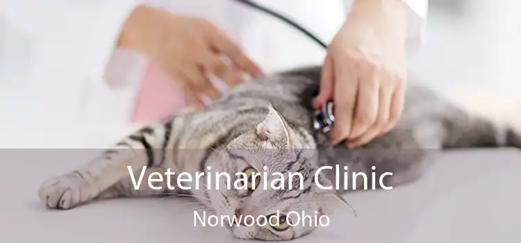 Veterinarian Clinic Norwood Ohio