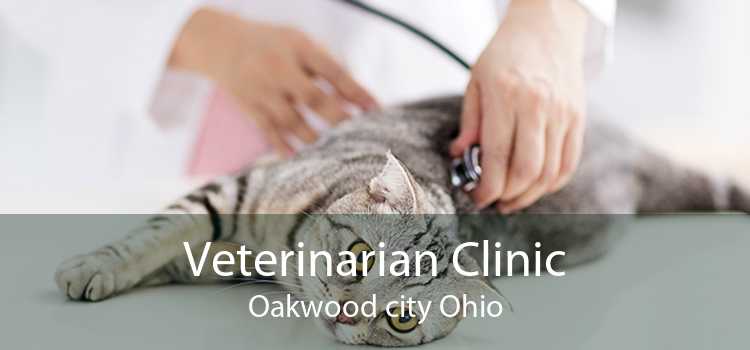 Veterinarian Clinic Oakwood city Ohio