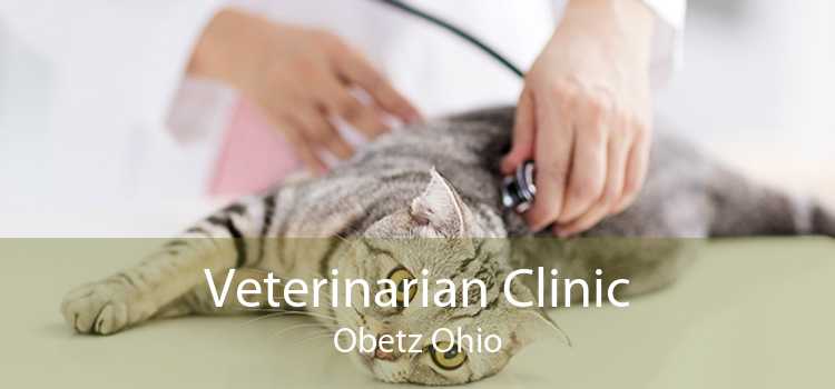 Veterinarian Clinic Obetz Ohio