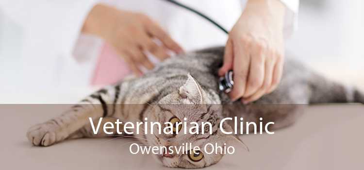 Veterinarian Clinic Owensville Ohio