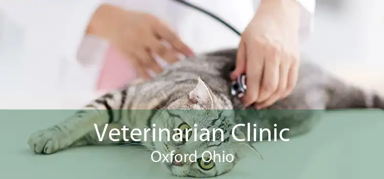 Veterinarian Clinic Oxford Ohio