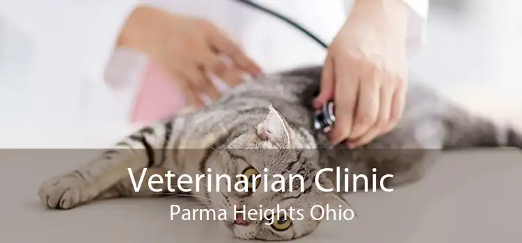 Veterinarian Clinic Parma Heights Ohio