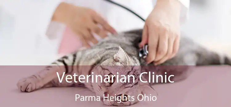 Veterinarian Clinic Parma Heights Ohio