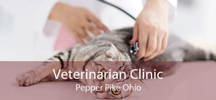 Veterinarian Clinic Pepper Pike Ohio