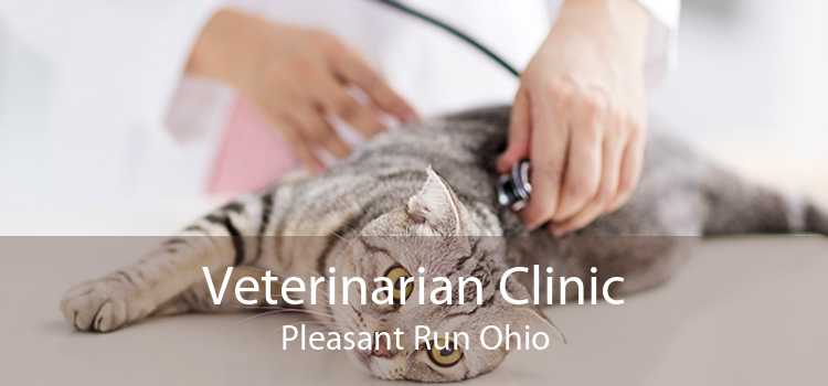 Veterinarian Clinic Pleasant Run Ohio