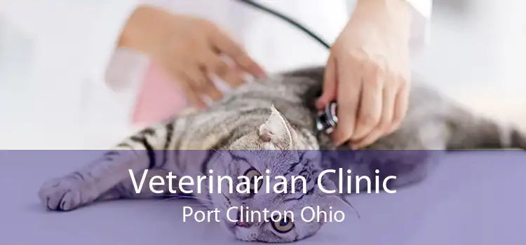Veterinarian Clinic Port Clinton Ohio