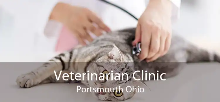 Veterinarian Clinic Portsmouth Ohio