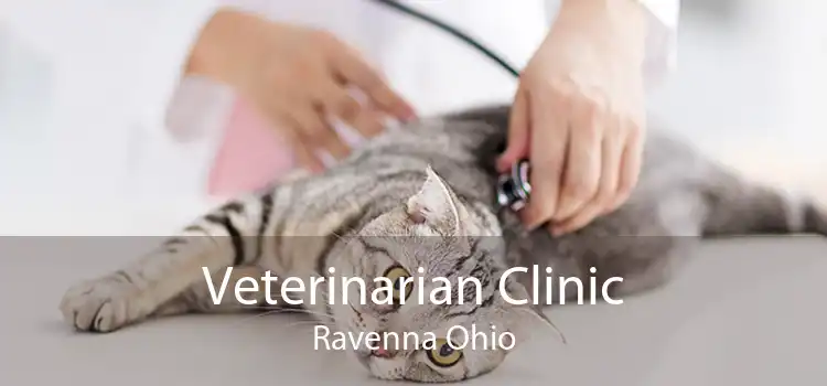 Veterinarian Clinic Ravenna Ohio