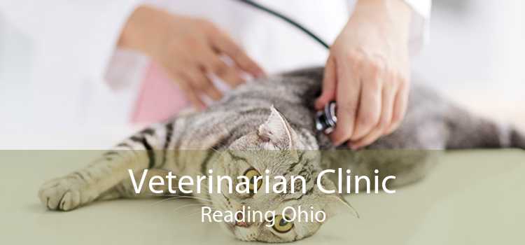 Veterinarian Clinic Reading Ohio