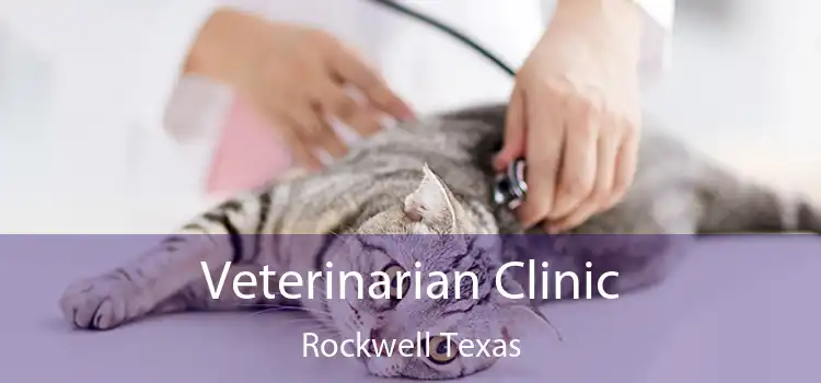 Veterinarian Clinic Rockwell Texas