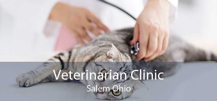 Veterinarian Clinic Salem Ohio