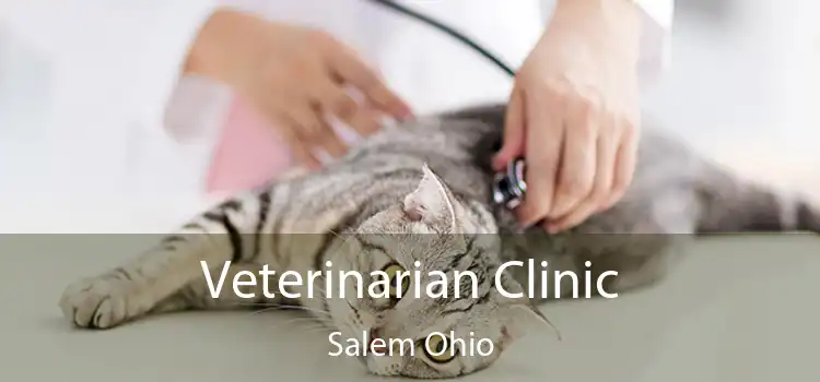 Veterinarian Clinic Salem Ohio