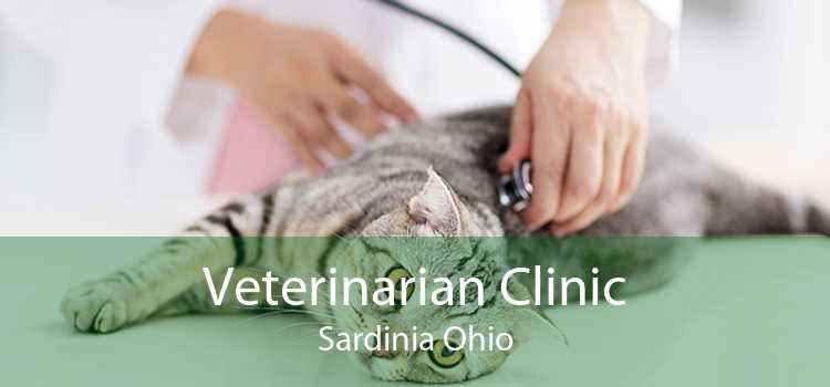 Veterinarian Clinic Sardinia Ohio