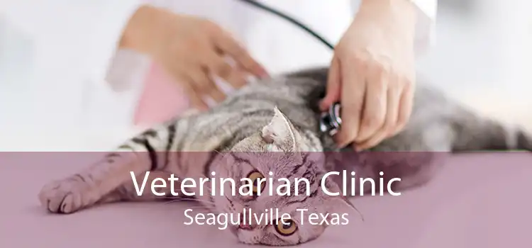 Veterinarian Clinic Seagullville Texas