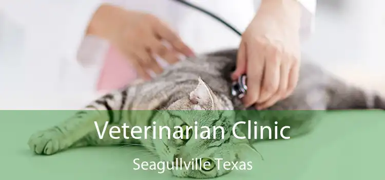 Veterinarian Clinic Seagullville Texas
