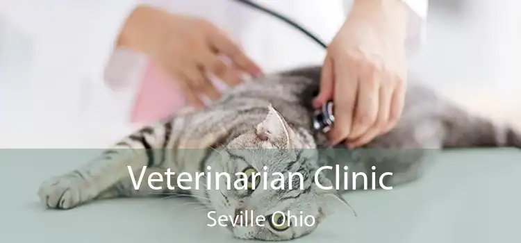 Veterinarian Clinic Seville Ohio