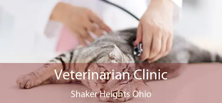 Veterinarian Clinic Shaker Heights Ohio