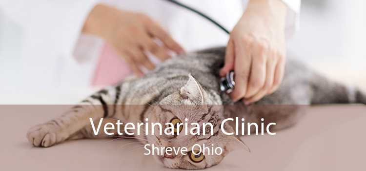 Veterinarian Clinic Shreve Ohio