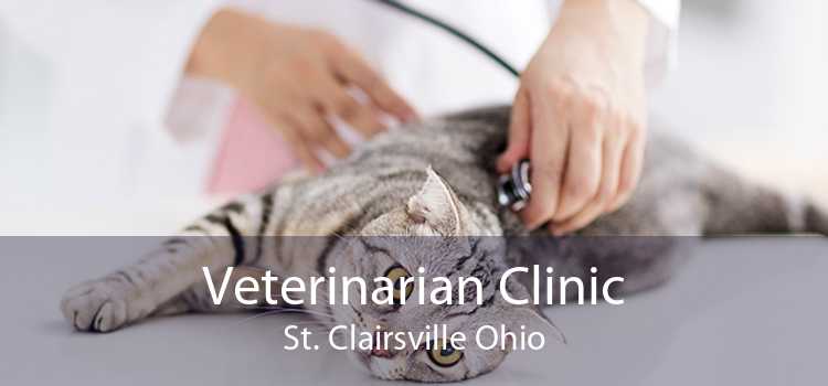 Veterinarian Clinic St. Clairsville Ohio