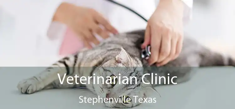 Veterinarian Clinic Stephenville Texas