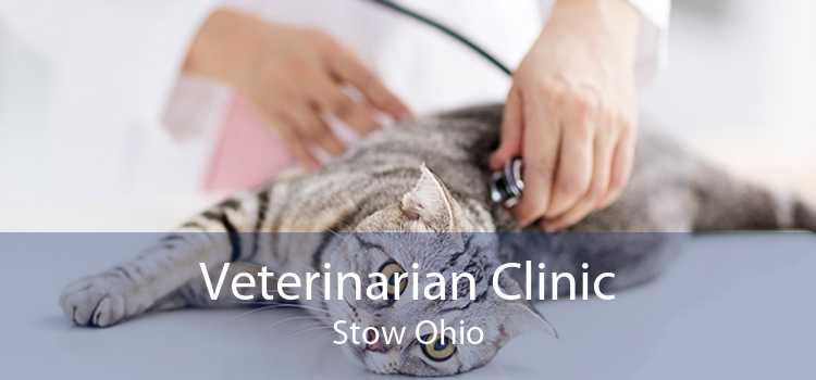 Veterinarian Clinic Stow Ohio