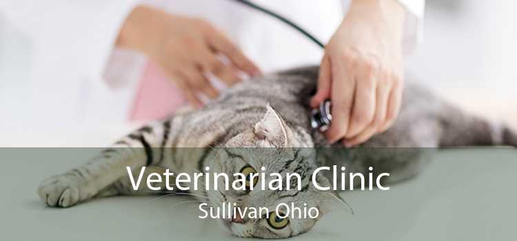 Veterinarian Clinic Sullivan Ohio