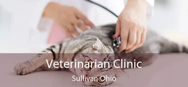 Veterinarian Clinic Sullivan Ohio