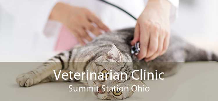 Veterinarian Clinic Summit Station Ohio