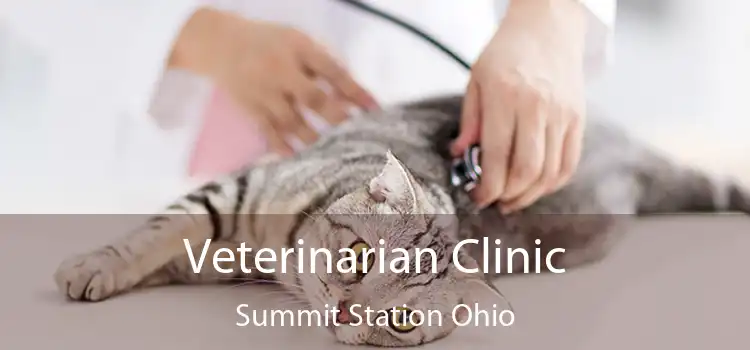 Veterinarian Clinic Summit Station Ohio