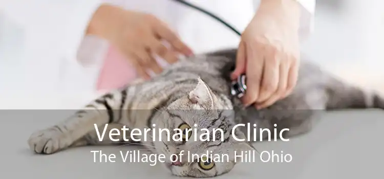 Veterinarian Clinic The Village of Indian Hill Ohio