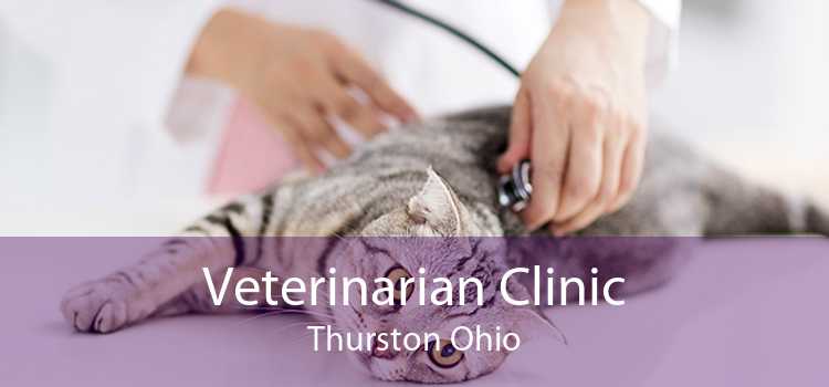Veterinarian Clinic Thurston Ohio