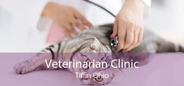 Veterinarian Clinic Tiffin Ohio
