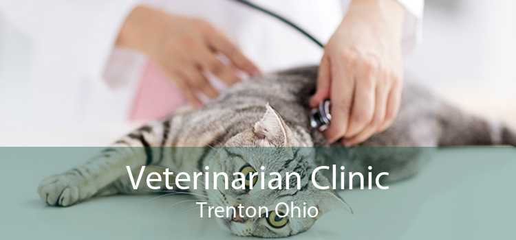 Veterinarian Clinic Trenton Ohio