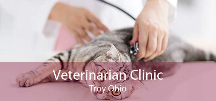 Veterinarian Clinic Troy Ohio