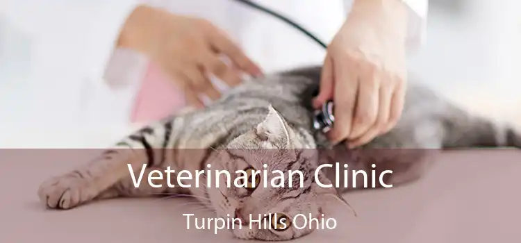 Veterinarian Clinic Turpin Hills Ohio