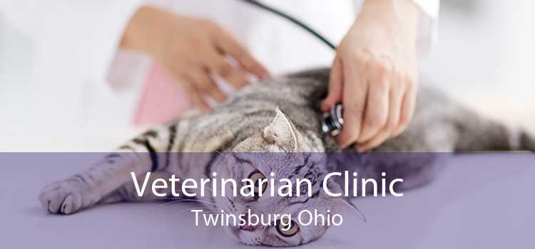 Veterinarian Clinic Twinsburg Ohio