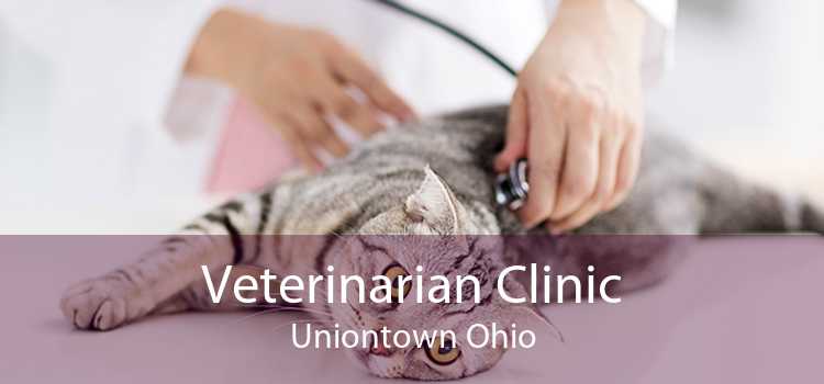 Veterinarian Clinic Uniontown Ohio