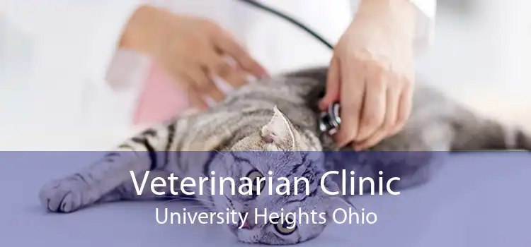 Veterinarian Clinic University Heights Ohio
