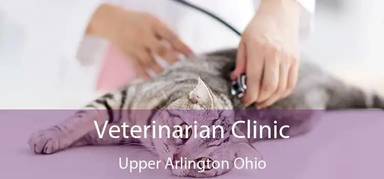 Veterinarian Clinic Upper Arlington Ohio