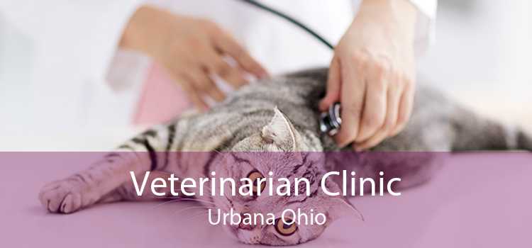 Veterinarian Clinic Urbana Ohio