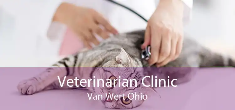 Veterinarian Clinic Van Wert Ohio