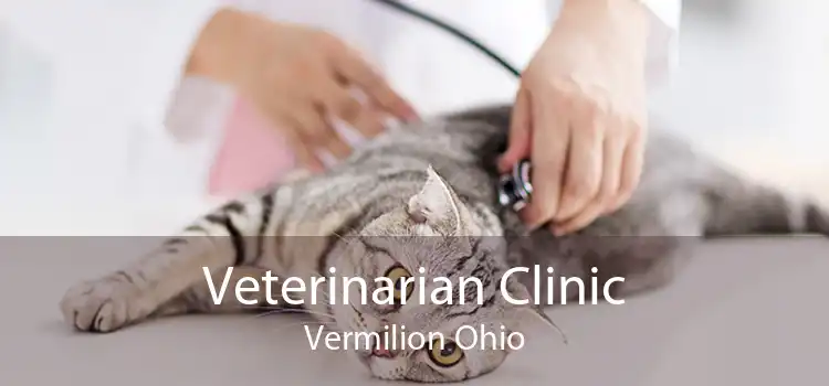 Veterinarian Clinic Vermilion Ohio