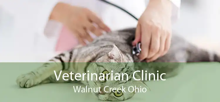 Veterinarian Clinic Walnut Creek Ohio