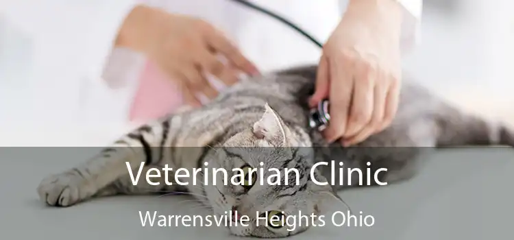 Veterinarian Clinic Warrensville Heights Ohio